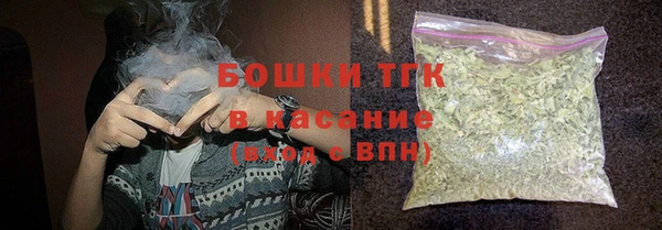 прущий лед Абаза