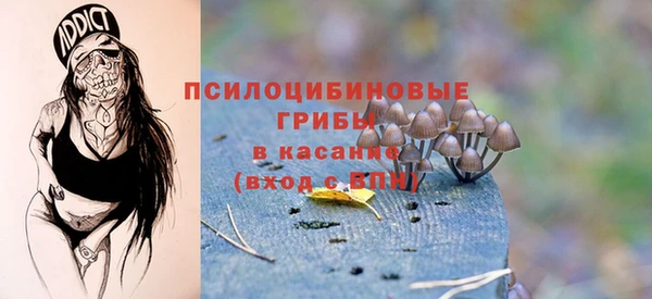 прущая мука Абдулино